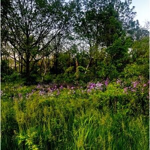 Meet your Posher, Elise